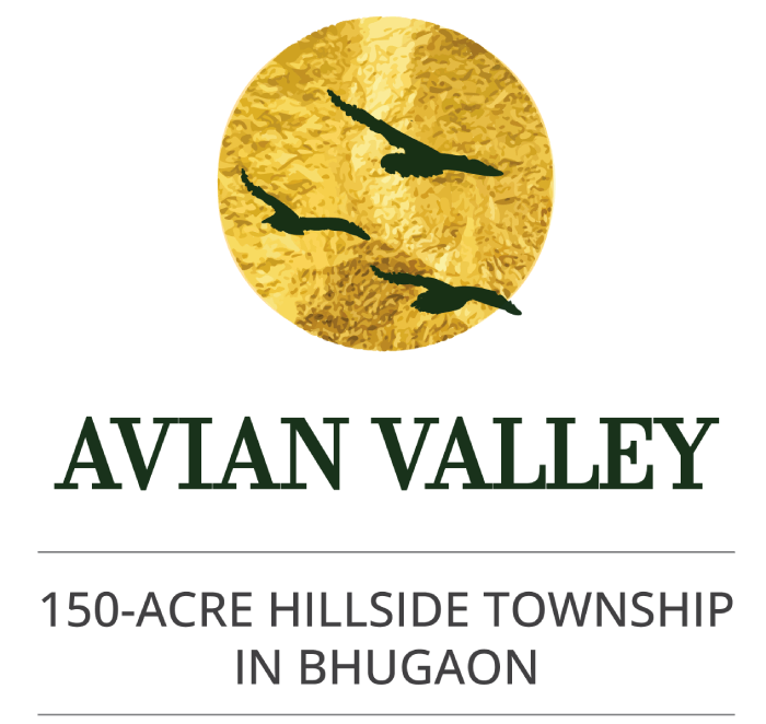 The Avian Valley Logo